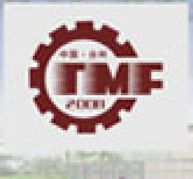 TMF2008中國(guó)(臺(tái)州)機(jī)床 工模具展覽會(huì)