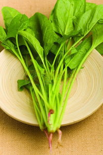 地球上最好的十種兒童食物 全麥?zhǔn)称?、谷物與谷物種植